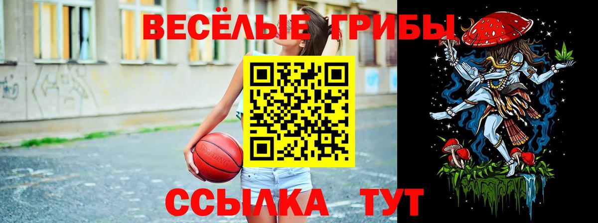 Псилоцибиновые грибы Psilocybine cubensis  Вход с VPN  Киров 